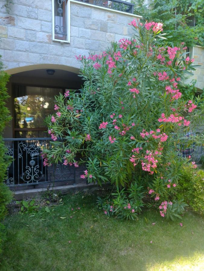 Destination Bulgaria 2000 Cascadas Private Summer Family Apartments Солнечный берег Экстерьер фото